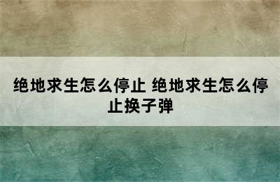 绝地求生怎么停止 绝地求生怎么停止换子弹